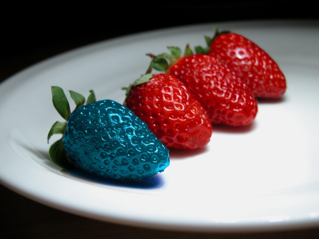 Wellness Programs in Seattle, WA