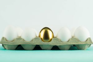Project Management Training in Seattle, WA